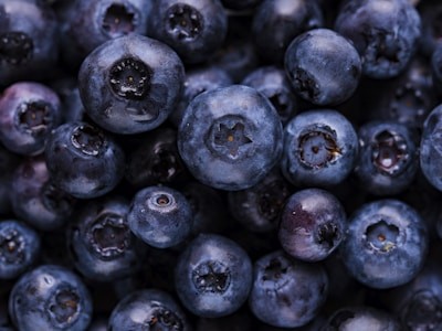 Jeju Snow Salmon Background 2